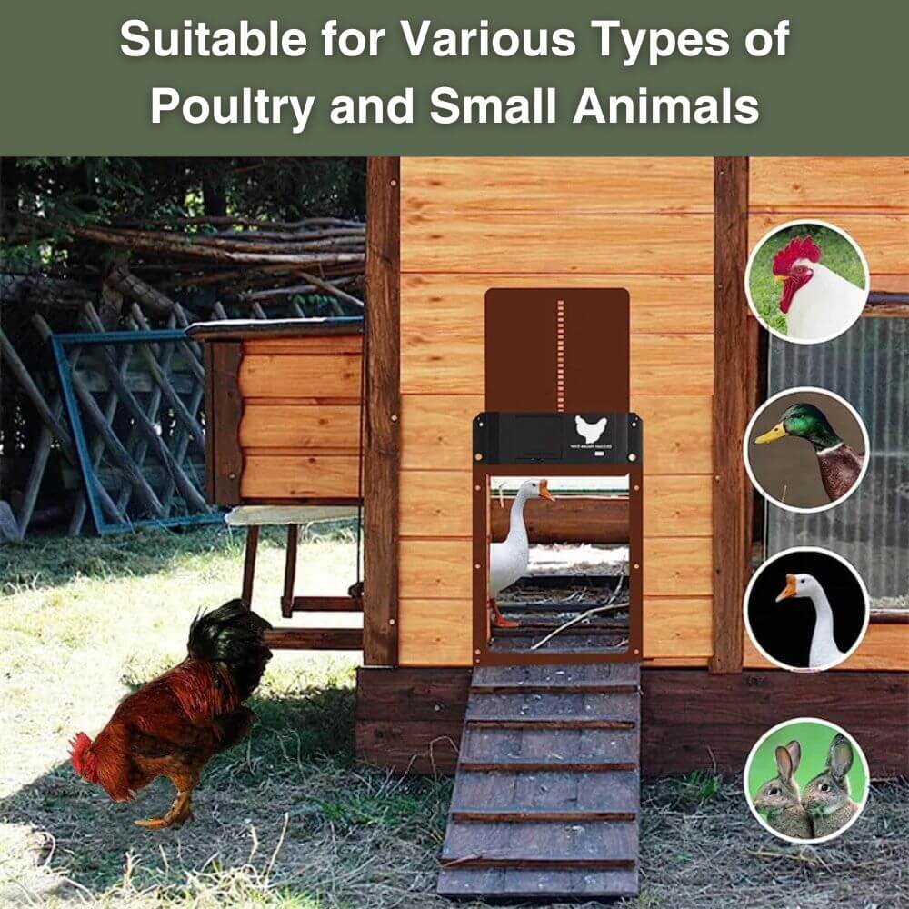 Automatic Chicken Door
