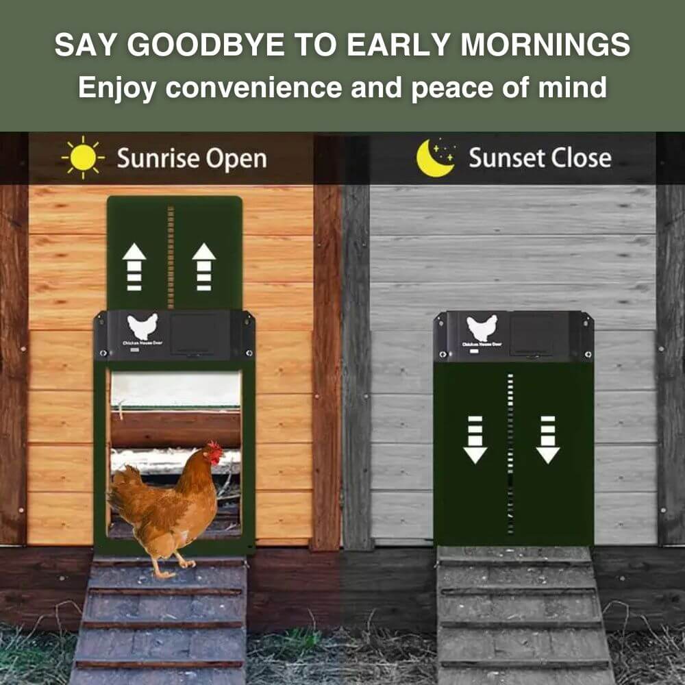 Automatic Chicken Door