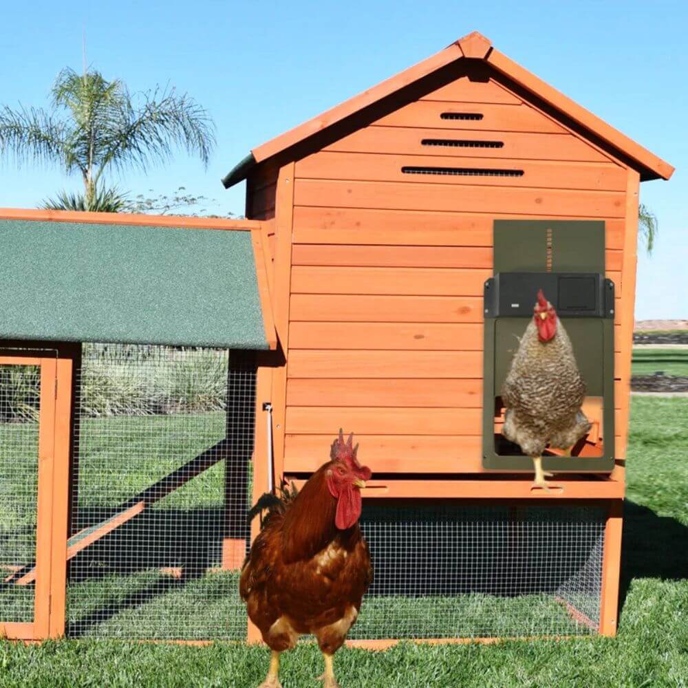 Automatic Chicken Door
