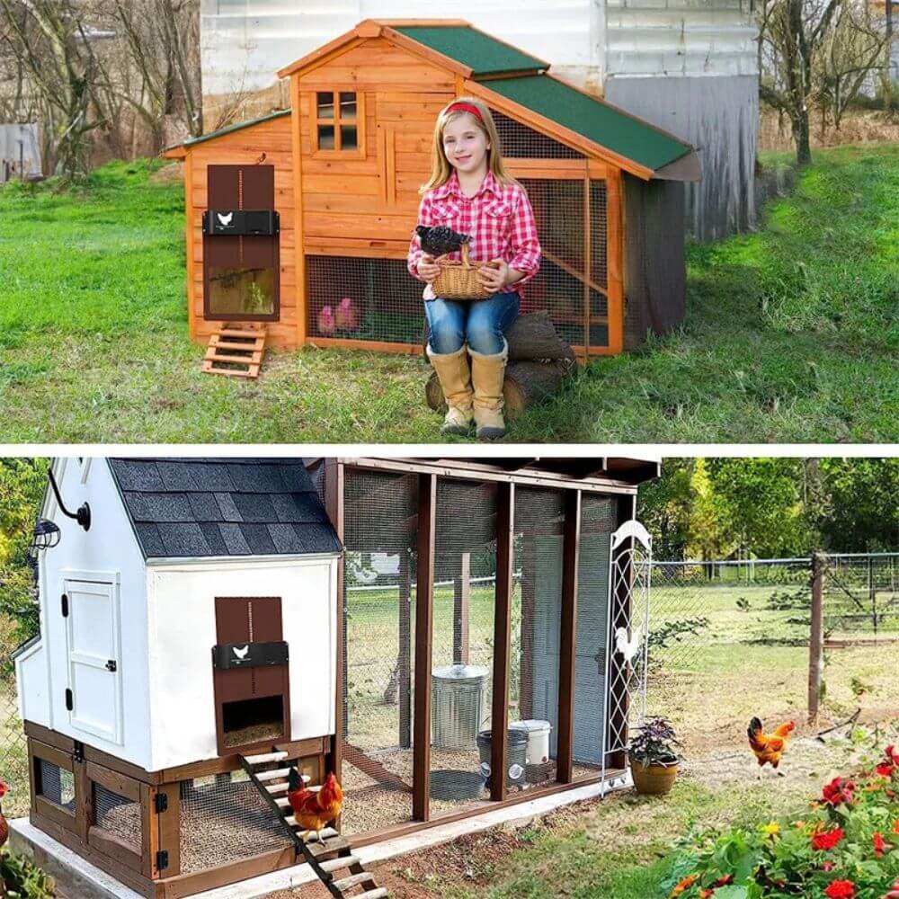 Automatic Chicken Door