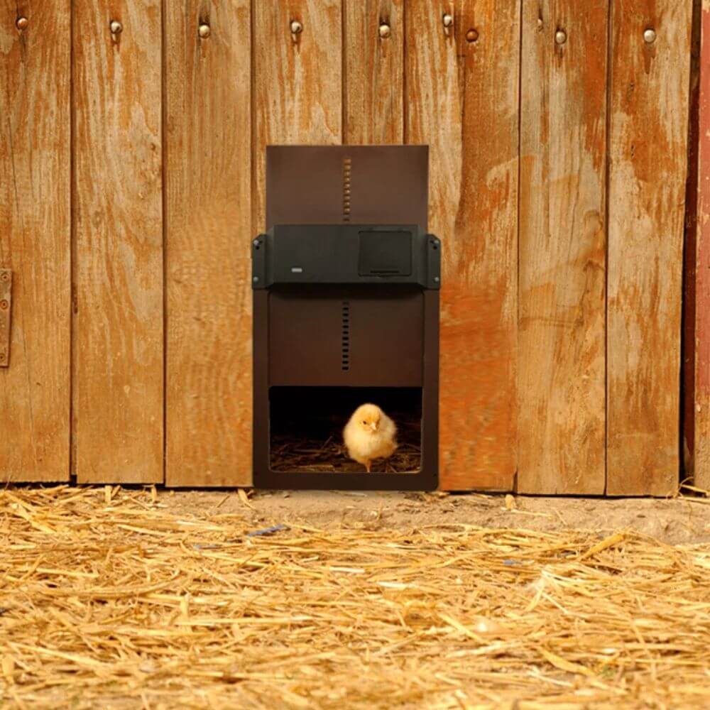 Automatic Chicken Door