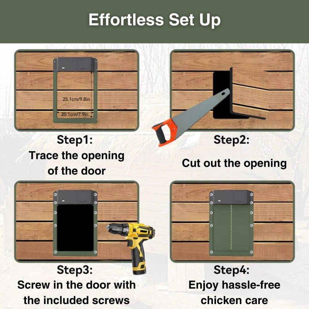 Automatic Chicken Door