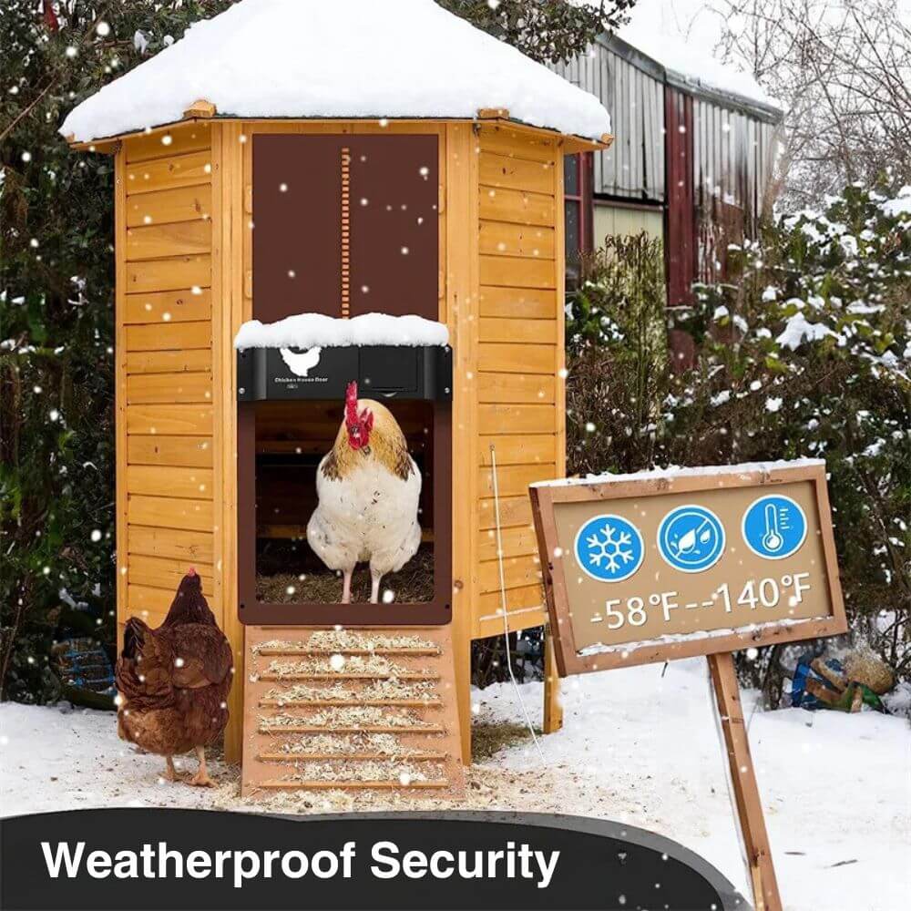 Automatic Chicken Door
