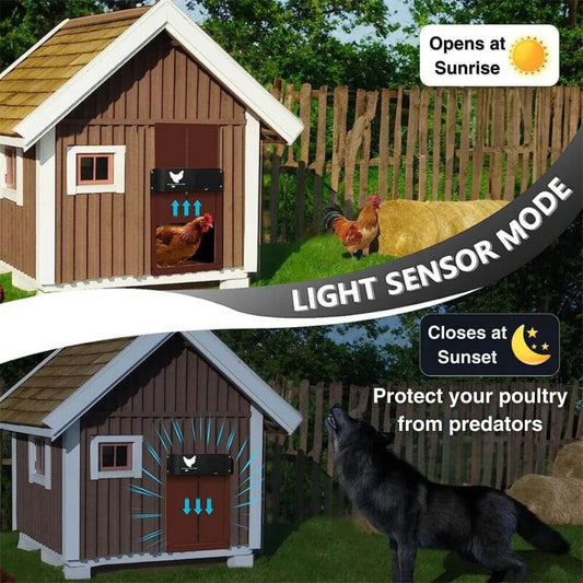 Automatic Chicken Door