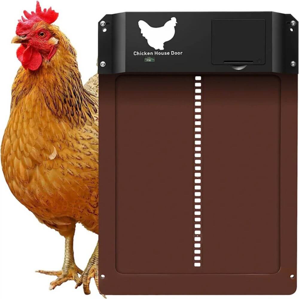 Automatic Chicken Door